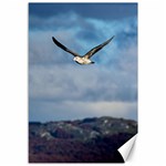 Sea Bird Flying Over Cloudy Sky Canvas 12  x 18  11.88 x17.36  Canvas - 1