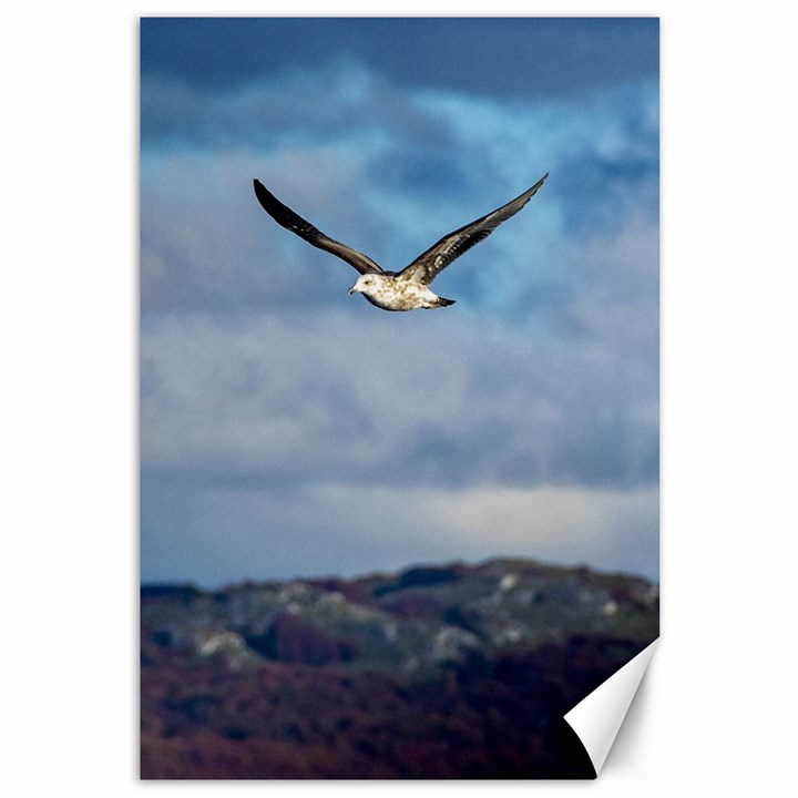 Sea Bird Flying Over Cloudy Sky Canvas 12  x 18 