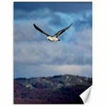 Sea Bird Flying Over Cloudy Sky Canvas 18  x 24  17.8 x23.08  Canvas - 1