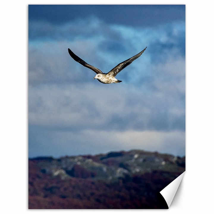 Sea Bird Flying Over Cloudy Sky Canvas 18  x 24 