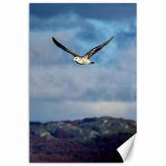 Sea Bird Flying Over Cloudy Sky Canvas 24  X 36  by dflcprintsclothing