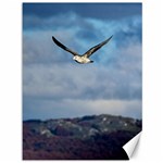 Sea Bird Flying Over Cloudy Sky Canvas 36  x 48  35.26 x46.15  Canvas - 1