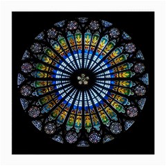 Mandala Floral Rose Window Strasbourg Cathedral France Medium Glasses Cloth by Semog4