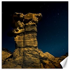 Ischigualasto Park Night Scene, San Juan Province, Argentina Canvas 20  X 20  by dflcprintsclothing