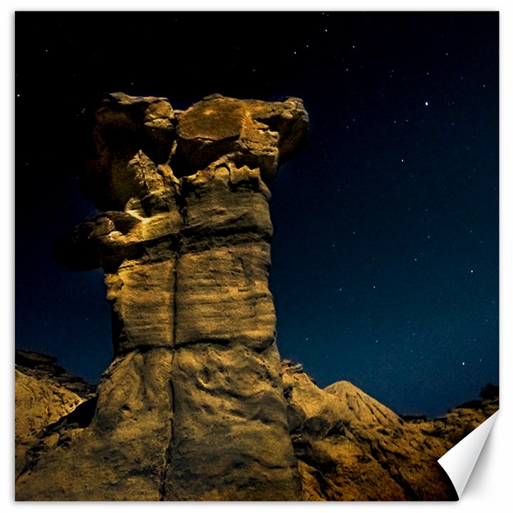 Ischigualasto Park Night Scene, San Juan Province, Argentina Canvas 20  x 20 