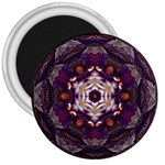 Rosette Kaleidoscope Mosaic Abstract Background Art 3  Magnets Front