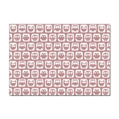 Light Pink And White Owl Pattern Sticker A4 (100 Pack) by GardenOfOphir