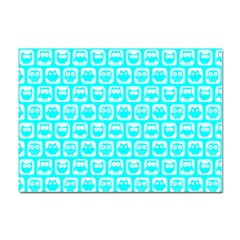 Aqua Turquoise And White Owl Pattern Sticker A4 (10 Pack) by GardenOfOphir