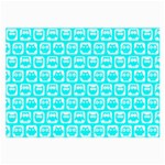 Aqua Turquoise And White Owl Pattern Large Glasses Cloth Front