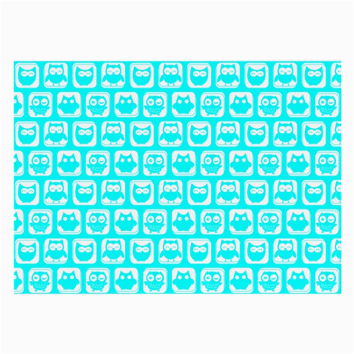 Aqua Turquoise And White Owl Pattern Large Glasses Cloth