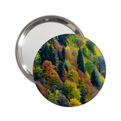 Forest Trees Leaves Fall Autumn Nature Sunshine 2 25  Handbag Mirrors by Ravend