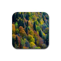 Forest Trees Leaves Fall Autumn Nature Sunshine Rubber Coaster (square) by Ravend