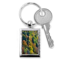 Forest Trees Leaves Fall Autumn Nature Sunshine Key Chain (rectangle) by Ravend