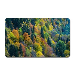 Forest Trees Leaves Fall Autumn Nature Sunshine Magnet (rectangular) by Ravend