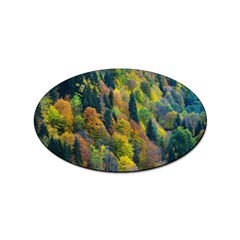 Forest Trees Leaves Fall Autumn Nature Sunshine Sticker Oval (10 Pack) by Ravend