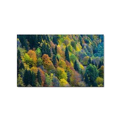 Forest Trees Leaves Fall Autumn Nature Sunshine Sticker Rectangular (10 Pack)