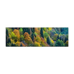 Forest Trees Leaves Fall Autumn Nature Sunshine Sticker Bumper (10 Pack) by Ravend