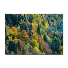 Forest Trees Leaves Fall Autumn Nature Sunshine Sticker A4 (100 Pack) by Ravend