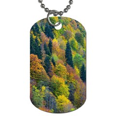 Forest Trees Leaves Fall Autumn Nature Sunshine Dog Tag (two Sides) by Ravend