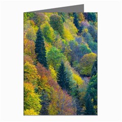 Forest Trees Leaves Fall Autumn Nature Sunshine Greeting Cards (pkg Of 8) by Ravend