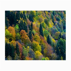 Forest Trees Leaves Fall Autumn Nature Sunshine Small Glasses Cloth by Ravend