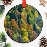 Forest Trees Leaves Fall Autumn Nature Sunshine Round Ornament (Two Sides) Front