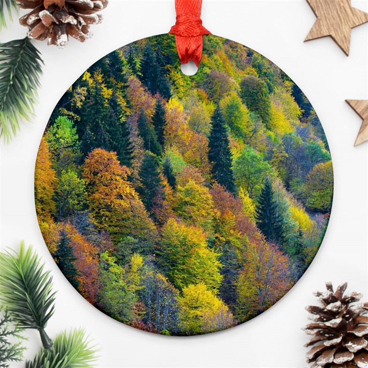 Forest Trees Leaves Fall Autumn Nature Sunshine Round Ornament (Two Sides)