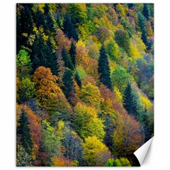 Forest Trees Leaves Fall Autumn Nature Sunshine Canvas 8  X 10  by Ravend