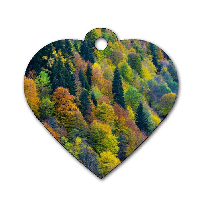 Forest Trees Leaves Fall Autumn Nature Sunshine Dog Tag Heart (One Side)