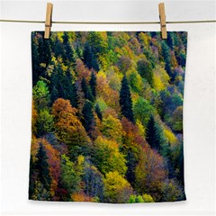 Forest Trees Leaves Fall Autumn Nature Sunshine Face Towel by Ravend