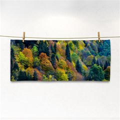 Forest Trees Leaves Fall Autumn Nature Sunshine Hand Towel by Ravend