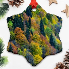 Forest Trees Leaves Fall Autumn Nature Sunshine Ornament (snowflake)