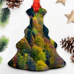 Forest Trees Leaves Fall Autumn Nature Sunshine Christmas Tree Ornament (two Sides) by Ravend