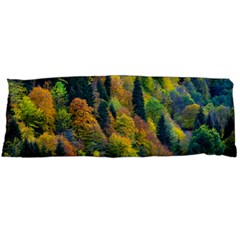 Forest Trees Leaves Fall Autumn Nature Sunshine Body Pillow Case (dakimakura) by Ravend