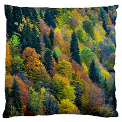 Forest Trees Leaves Fall Autumn Nature Sunshine Large Cushion Case (one Side) by Ravend