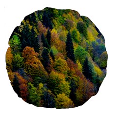 Forest Trees Leaves Fall Autumn Nature Sunshine Large 18  Premium Round Cushions by Ravend