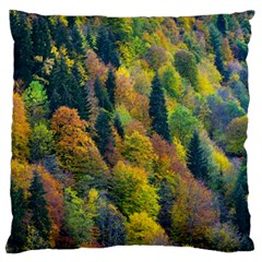 Forest Trees Leaves Fall Autumn Nature Sunshine Standard Premium Plush Fleece Cushion Case (one Side) by Ravend