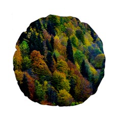 Forest Trees Leaves Fall Autumn Nature Sunshine Standard 15  Premium Flano Round Cushions by Ravend