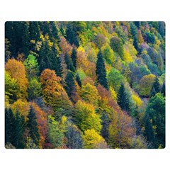 Forest Trees Leaves Fall Autumn Nature Sunshine Two Sides Premium Plush Fleece Blanket (medium) by Ravend