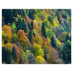 Forest Trees Leaves Fall Autumn Nature Sunshine Two Sides Premium Plush Fleece Blanket (Medium) 60 x50  Blanket Front