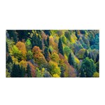 Forest Trees Leaves Fall Autumn Nature Sunshine Satin Wrap 35  x 70  Front