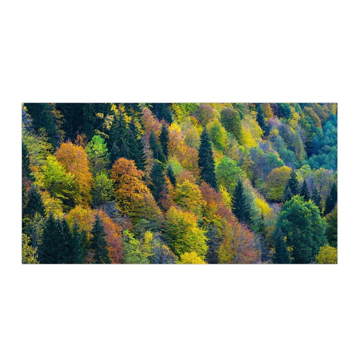 Forest Trees Leaves Fall Autumn Nature Sunshine Satin Wrap 35  x 70 