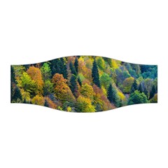 Forest Trees Leaves Fall Autumn Nature Sunshine Stretchable Headband by Ravend