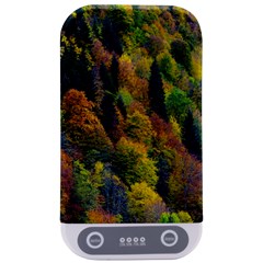 Forest Trees Leaves Fall Autumn Nature Sunshine Sterilizers by Ravend