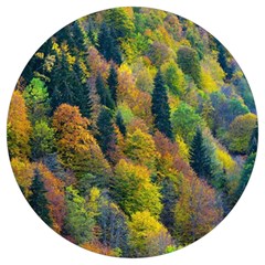 Forest Trees Leaves Fall Autumn Nature Sunshine Round Trivet by Ravend