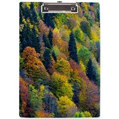 Forest Trees Leaves Fall Autumn Nature Sunshine A4 Acrylic Clipboard by Ravend