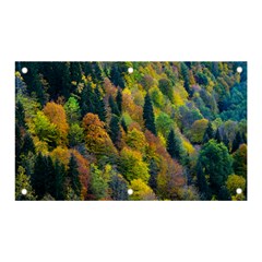 Forest Trees Leaves Fall Autumn Nature Sunshine Banner And Sign 5  X 3  by Ravend