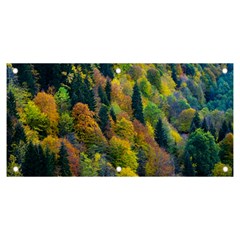 Forest Trees Leaves Fall Autumn Nature Sunshine Banner And Sign 6  X 3  by Ravend