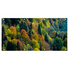 Forest Trees Leaves Fall Autumn Nature Sunshine Banner And Sign 8  X 4  by Ravend