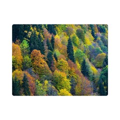 Forest Trees Leaves Fall Autumn Nature Sunshine Premium Plush Fleece Blanket (mini)